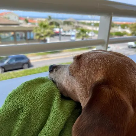 Esplanade 3* Марина-ди-Пьетрасанта