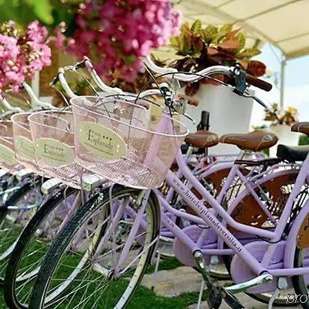 Esplanade Марина-ди-Пьетрасанта